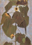 Egon Schiele Sunflower I(mk12) oil painting picture wholesale
